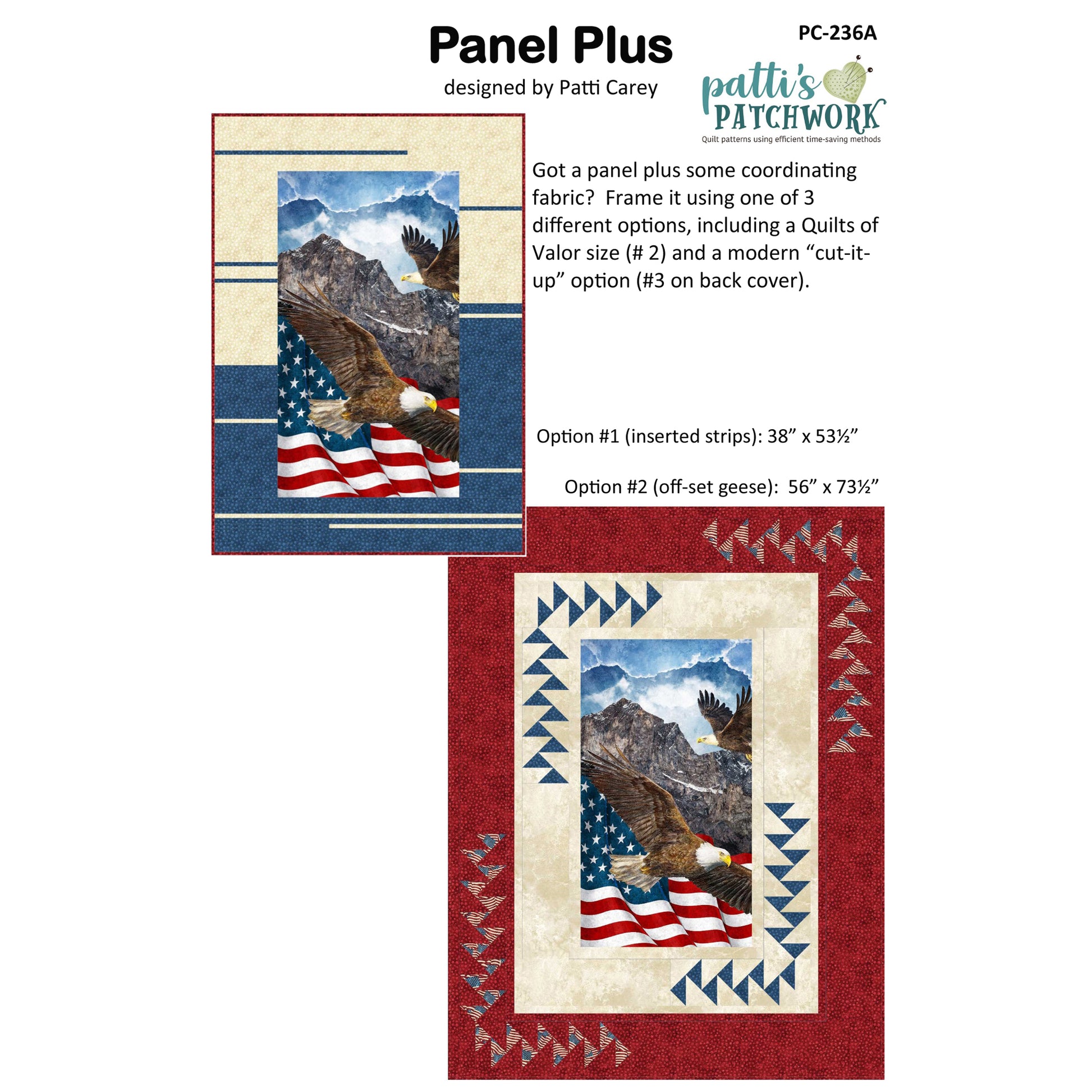 Image of cover of pattern for Panel Plus Quilts.